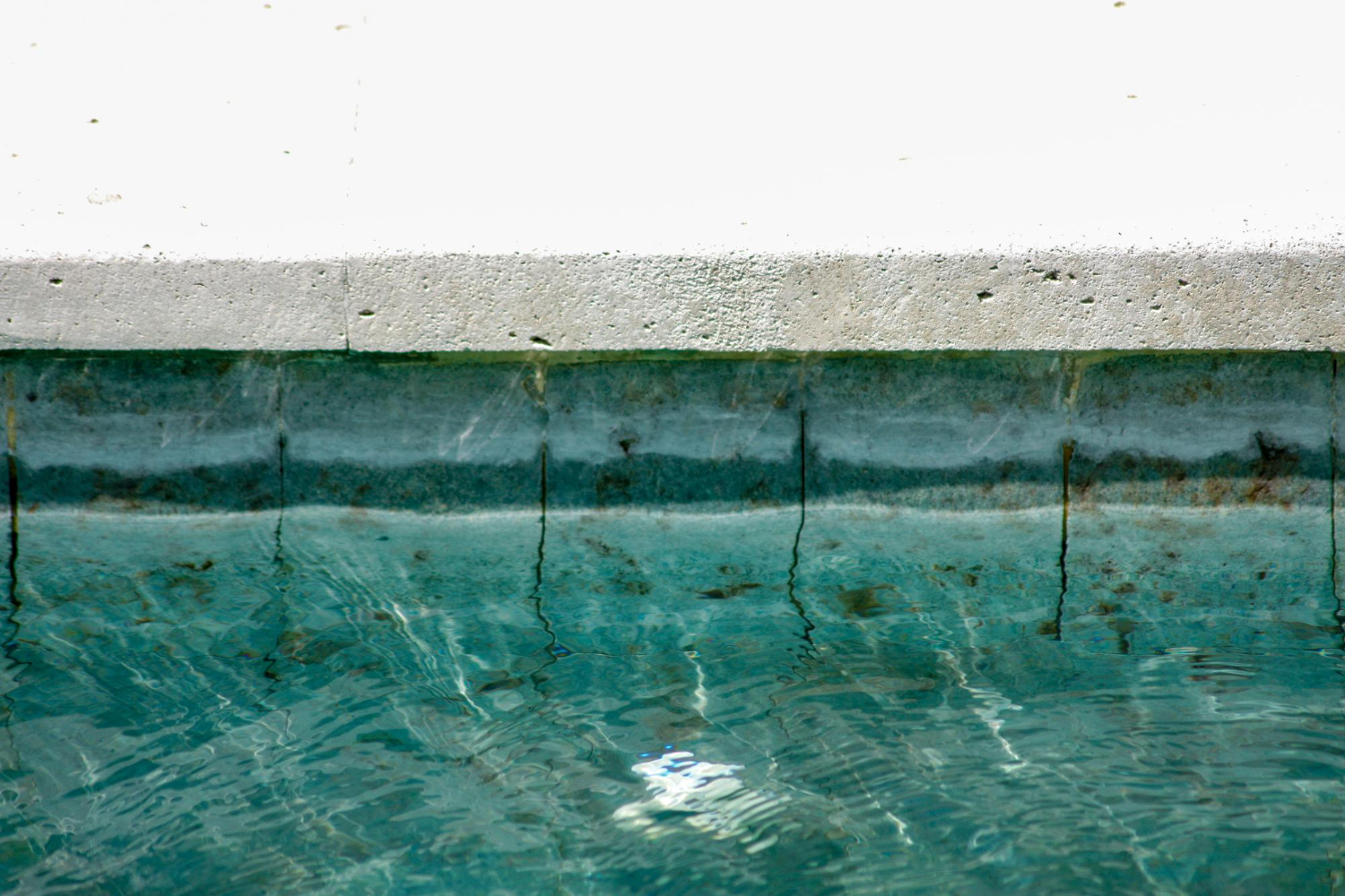 Keeping Algae Out of Your Pool: Essential Tips